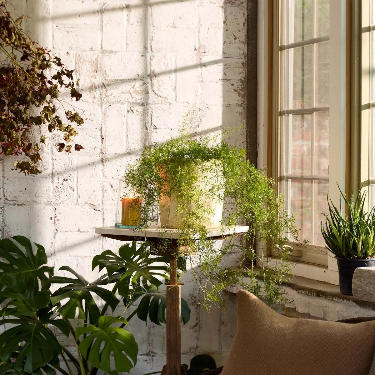 Basic Planter, White Patina Bloomist