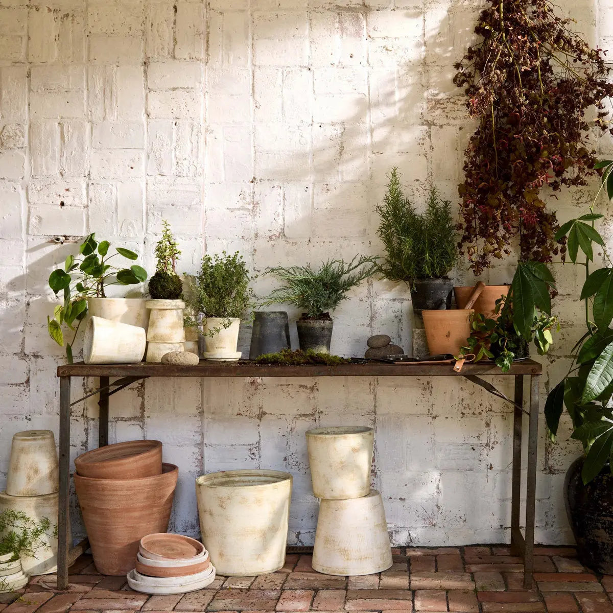 Basic Planter, White Patina Bloomist