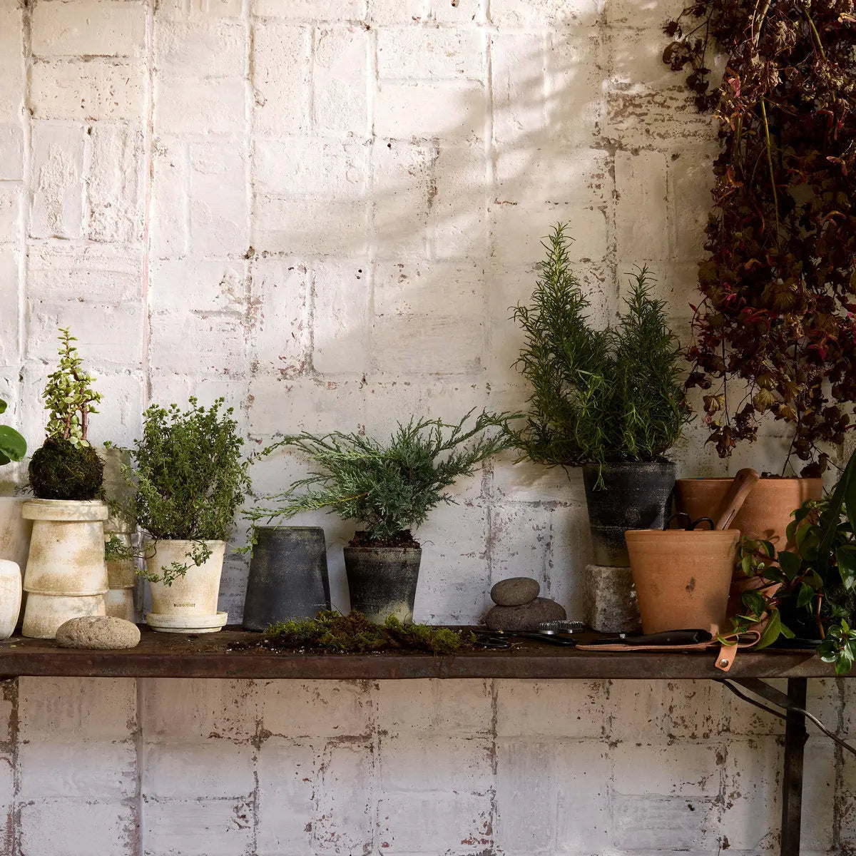Basic Planter, Grey Patina Bloomist