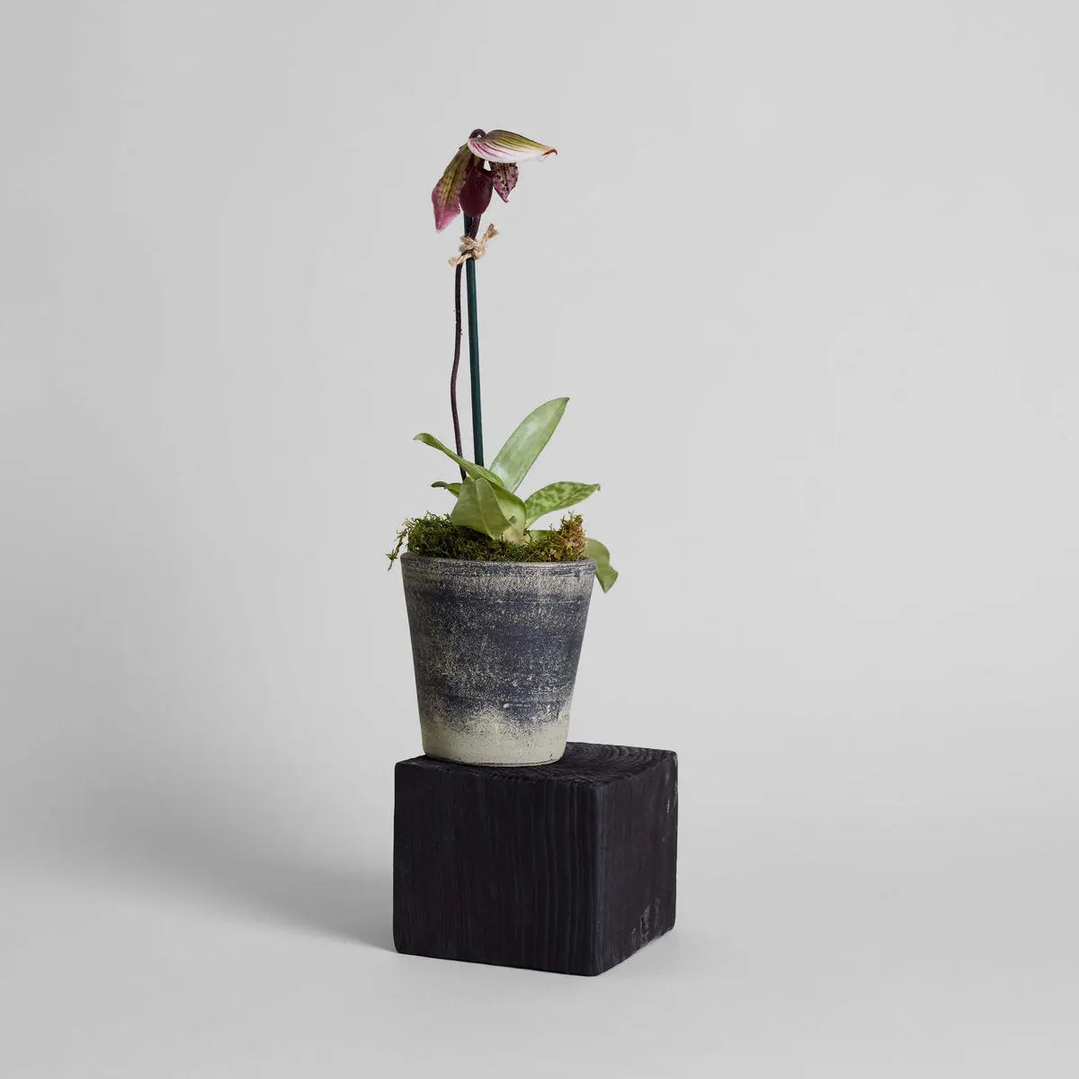 Basic Planter, Grey Patina Bloomist