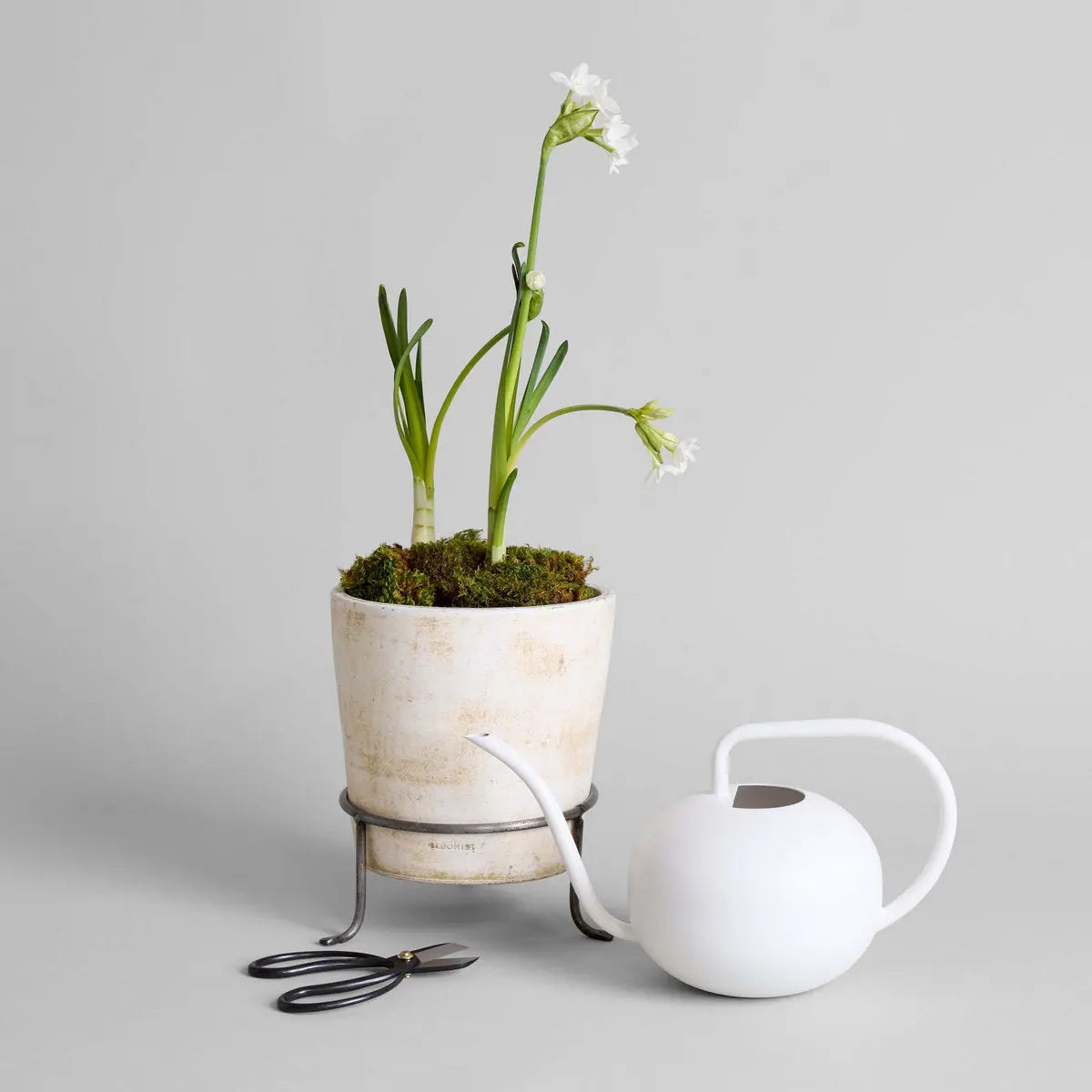 Beatrix Watering Can Bloomist