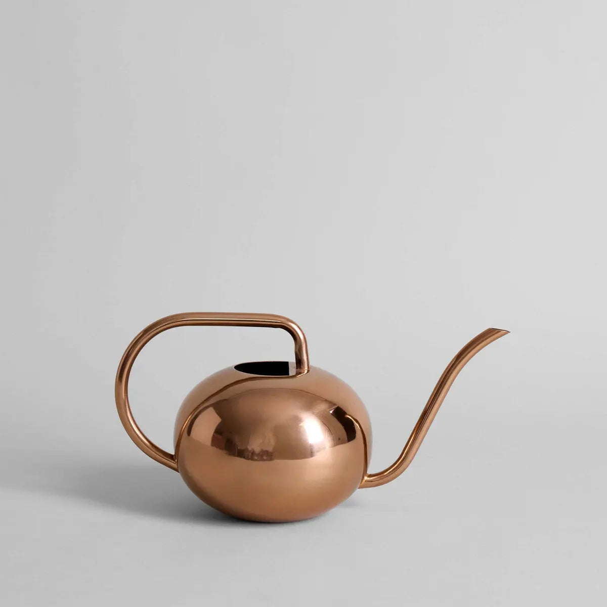 Beatrix Watering Can Bloomist