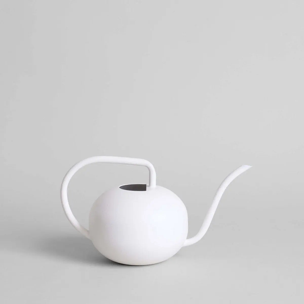 Beatrix Watering Can Bloomist