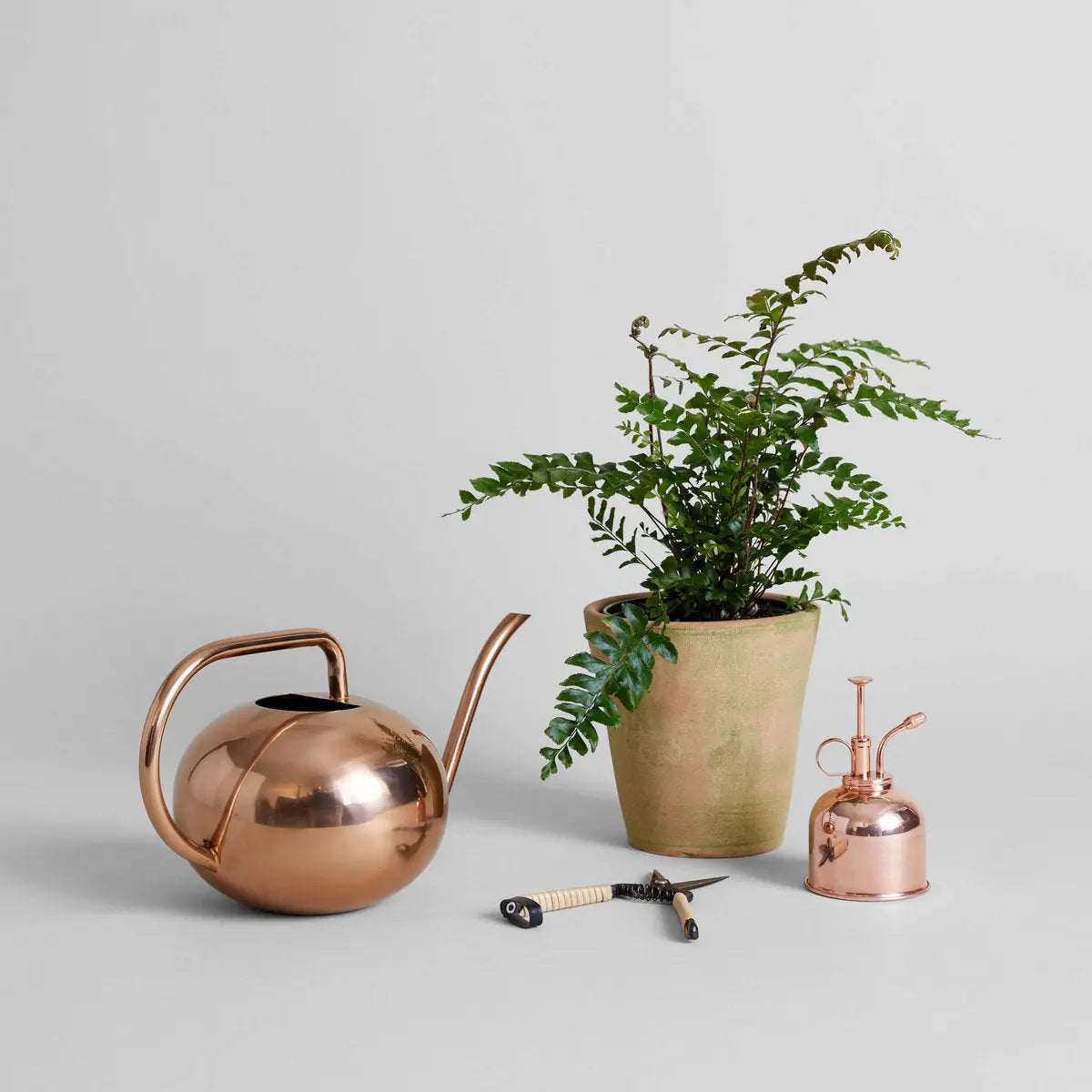 Beatrix Watering Can Bloomist