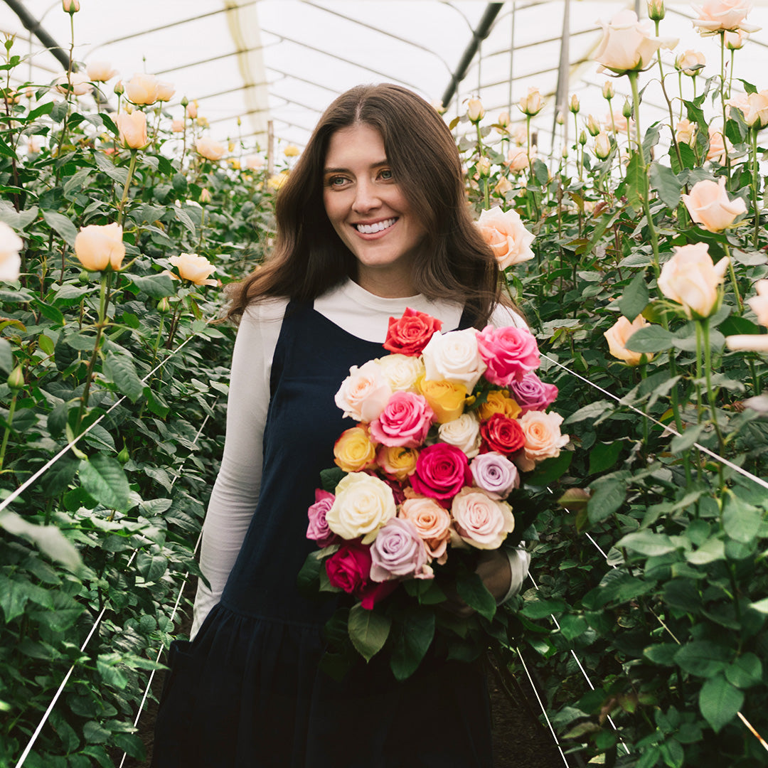 PEONY BEAUTY Rosaholics
