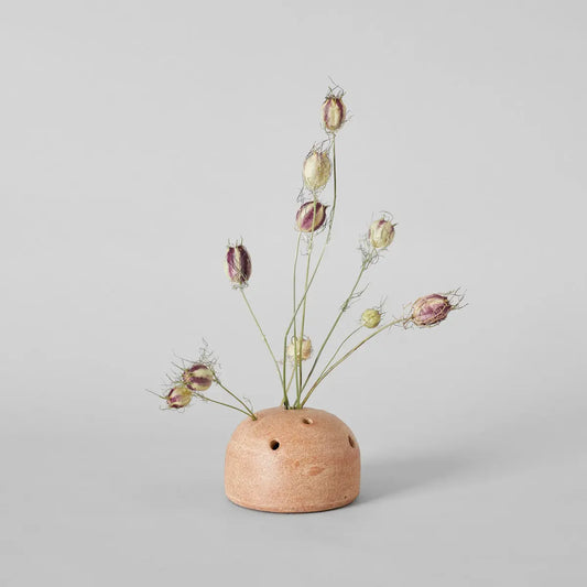 Terra Cotta Frog Vases Bloomist