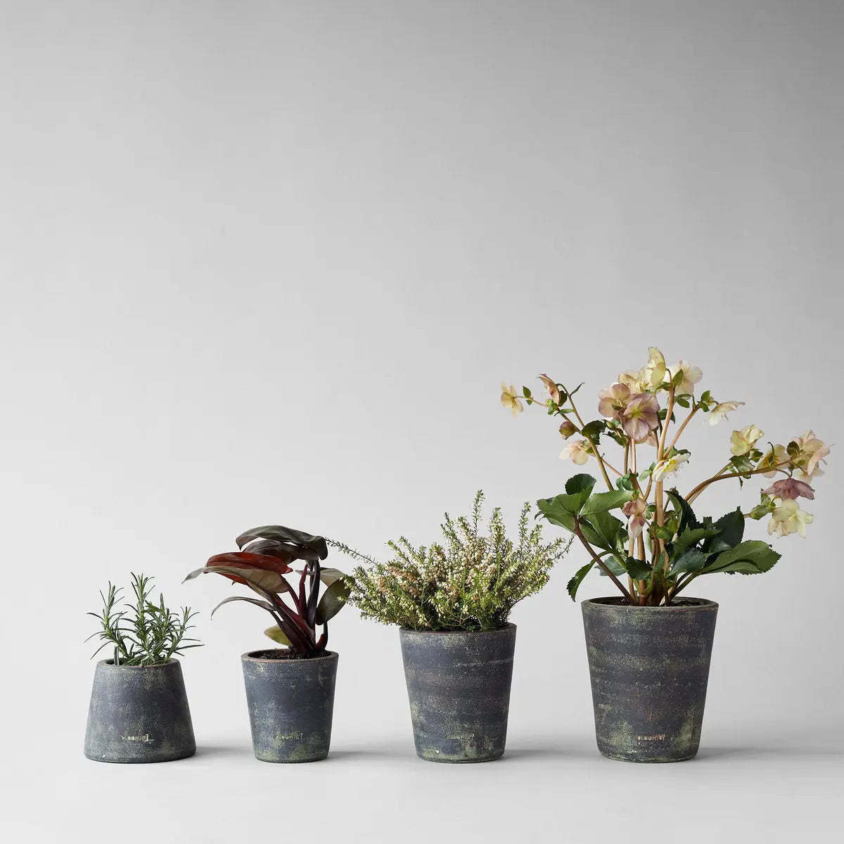 Basic Planter, Grey Patina Bloomist