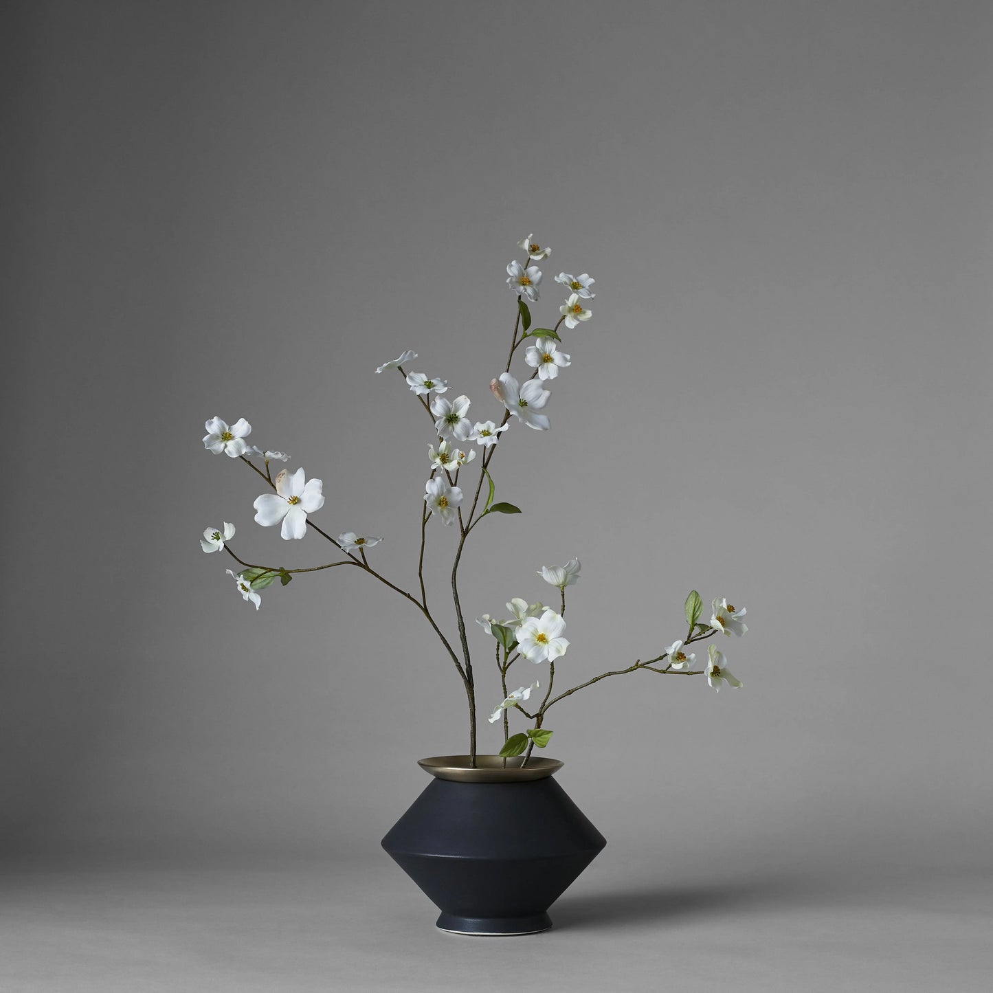 Brass Frogs Bloomist