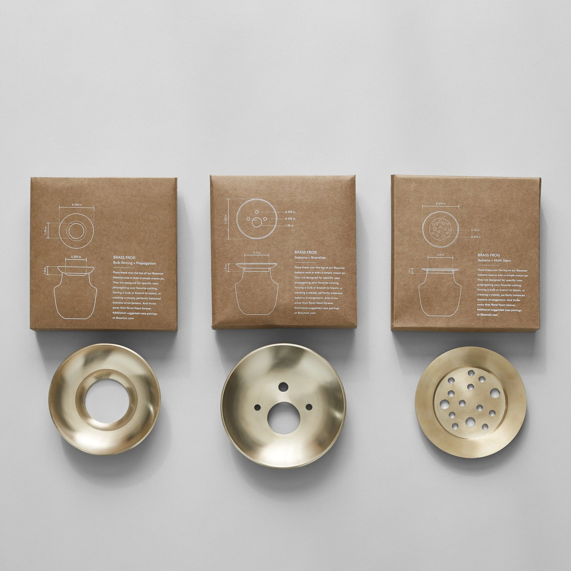 Brass Frogs Bloomist