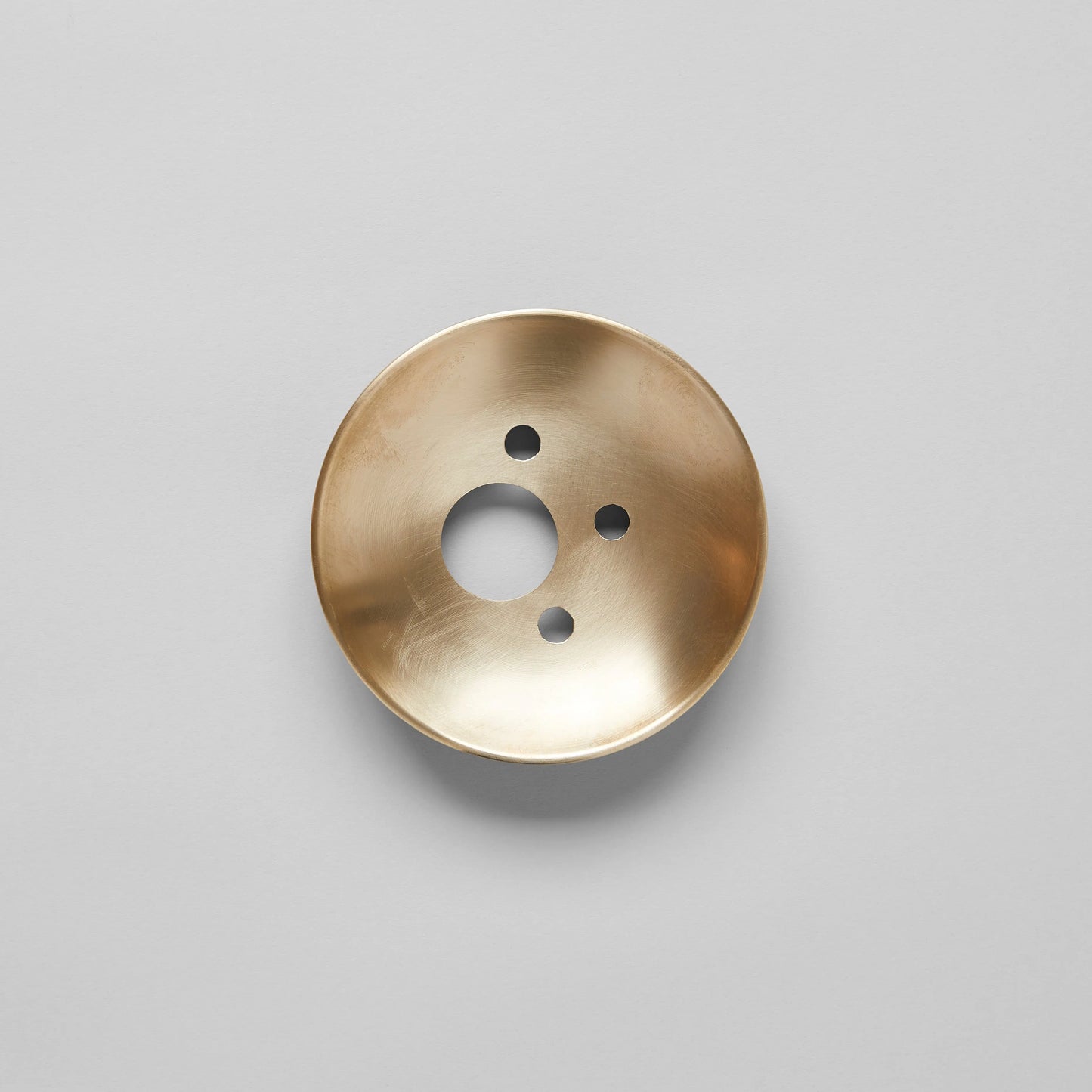 Brass Frogs Bloomist
