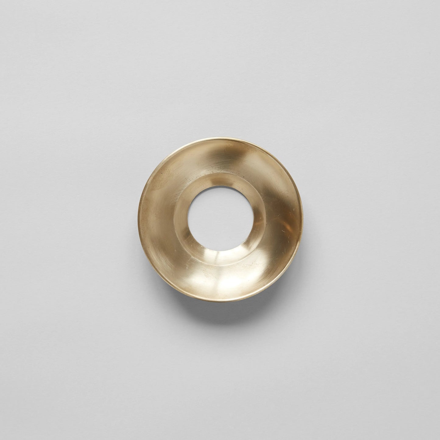 Brass Frogs Bloomist