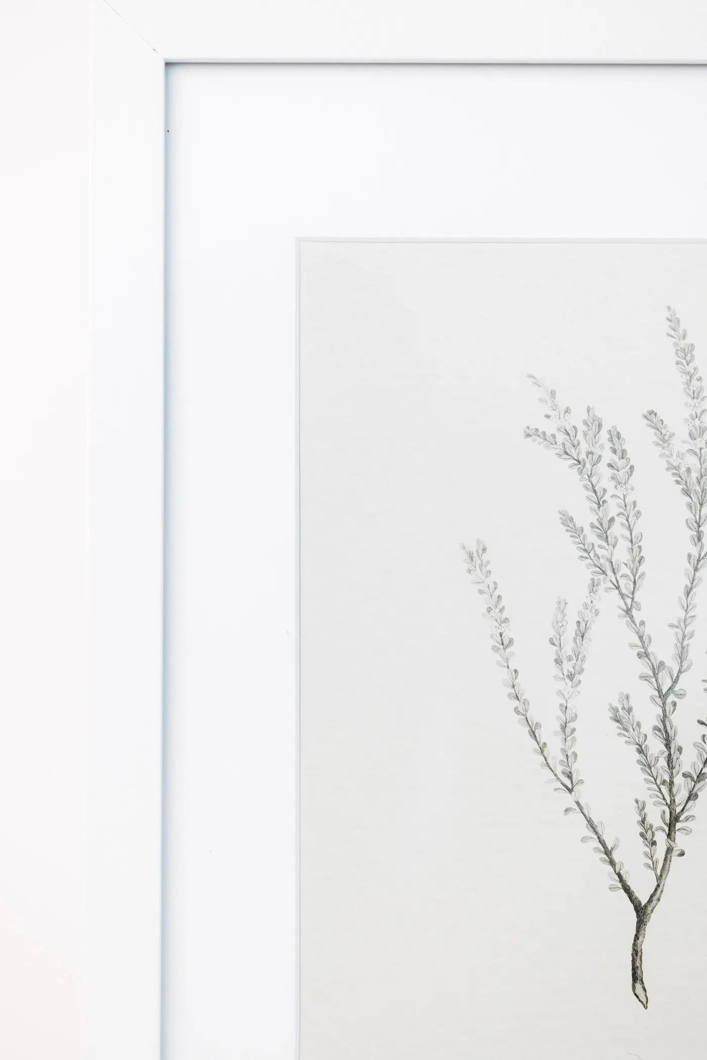 Enid Wall Art THELIFESTYLEDCO Shop