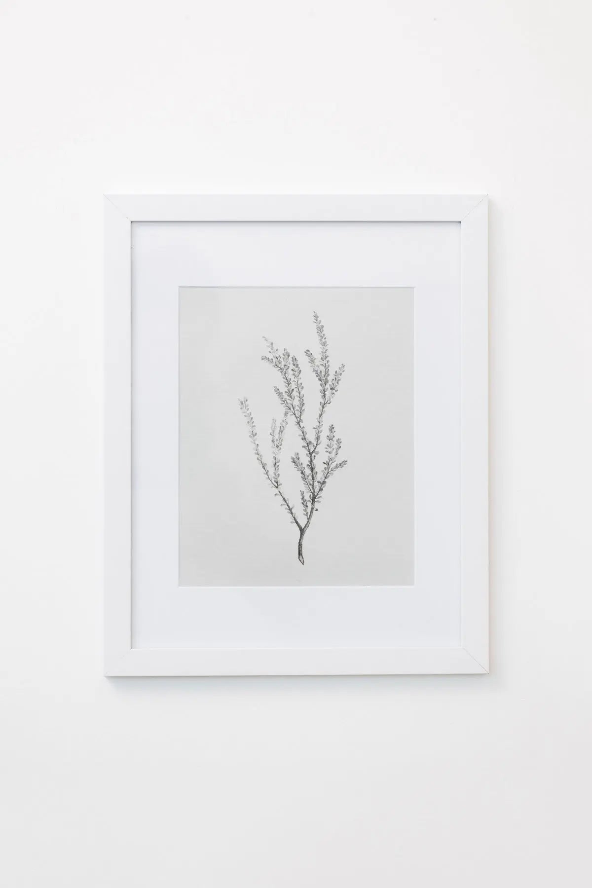 Enid Wall Art THELIFESTYLEDCO Shop