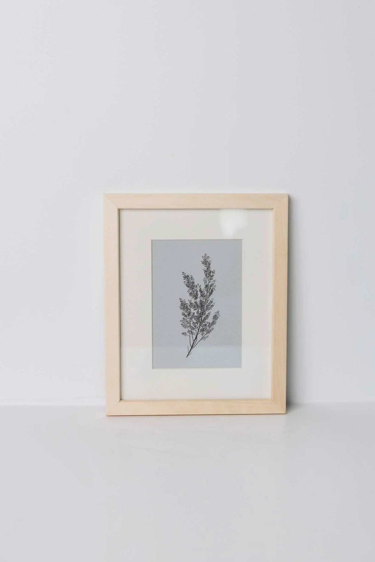 Fauna Wall Art THELIFESTYLEDCO Shop