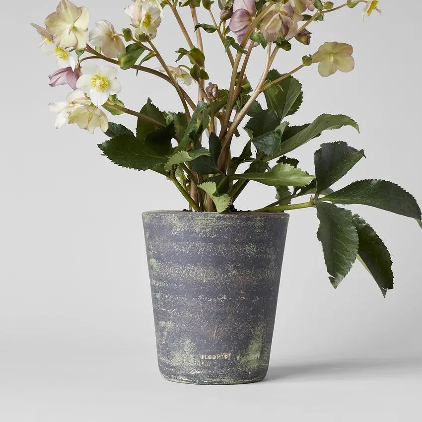 Basic Planter, Grey Patina Bloomist