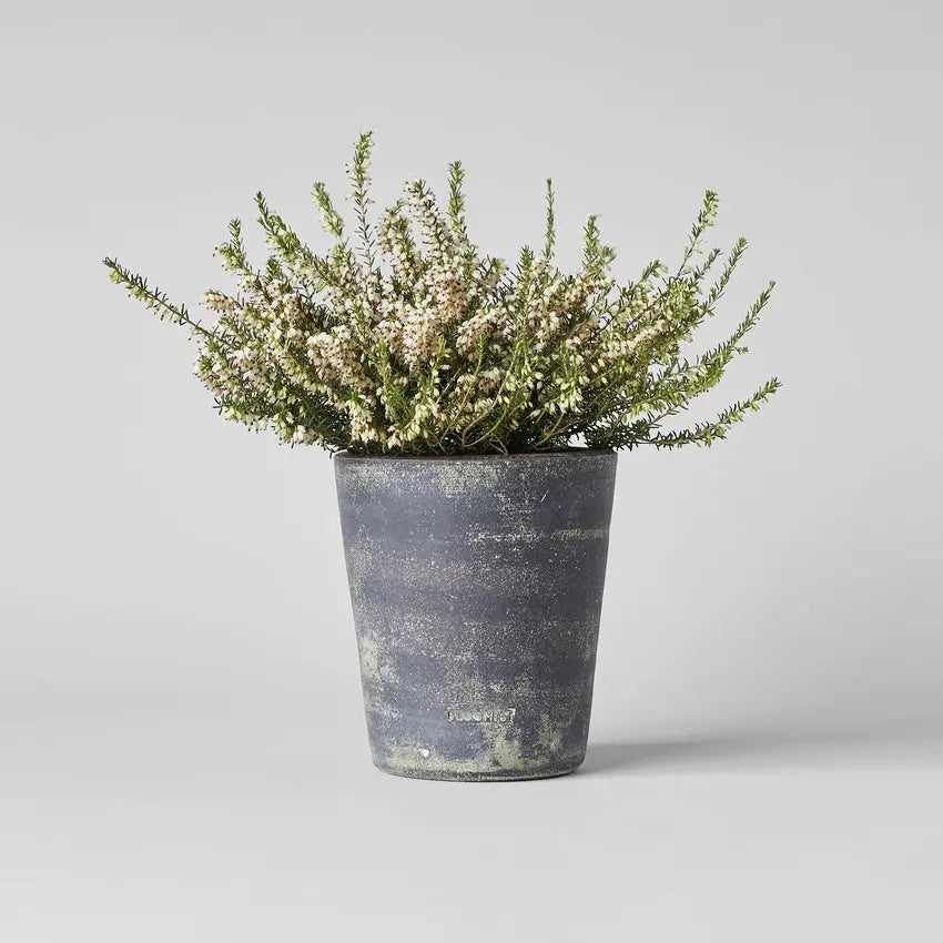 Basic Planter, Grey Patina Bloomist