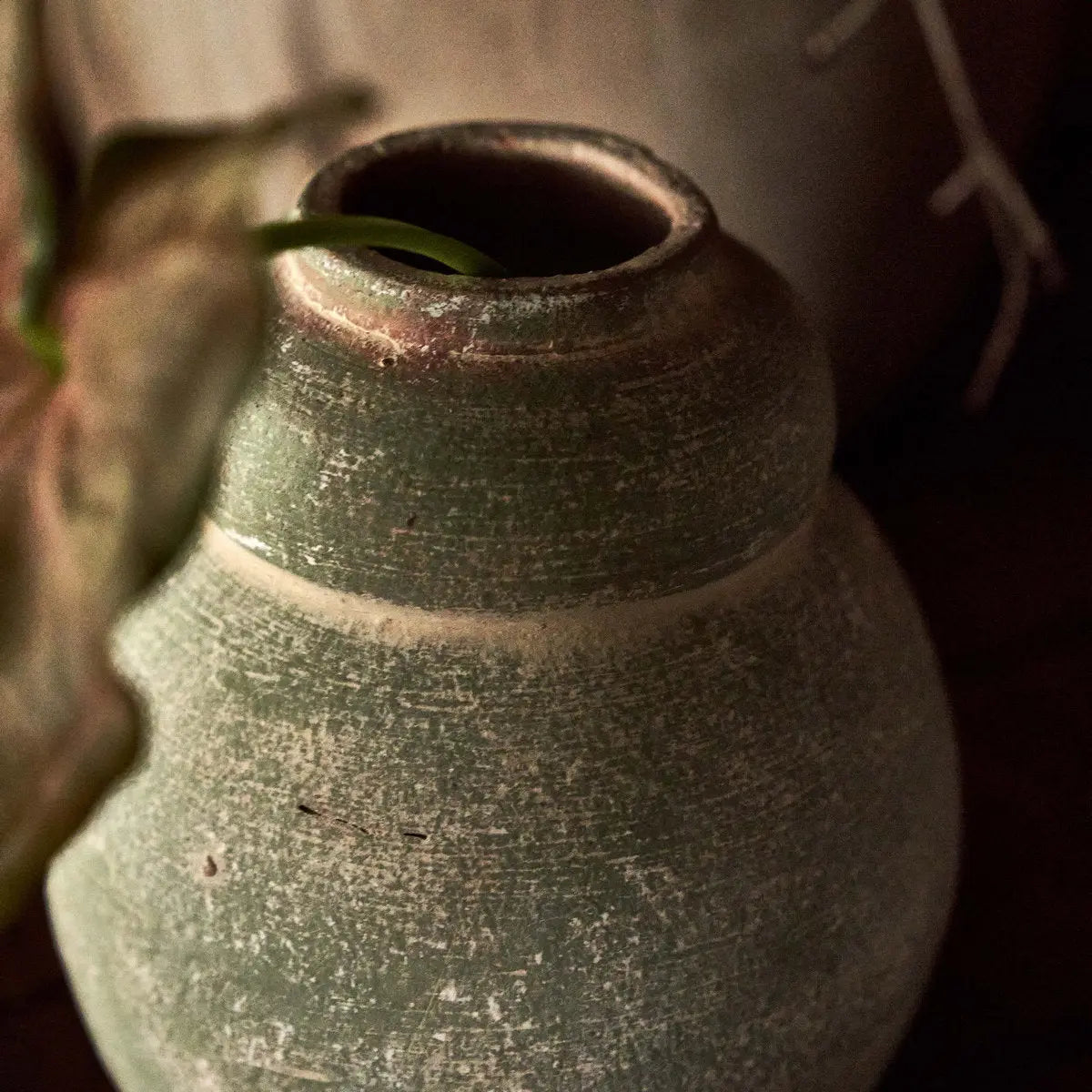 Terra Cotta Bud Vase, Greenwash Bloomist