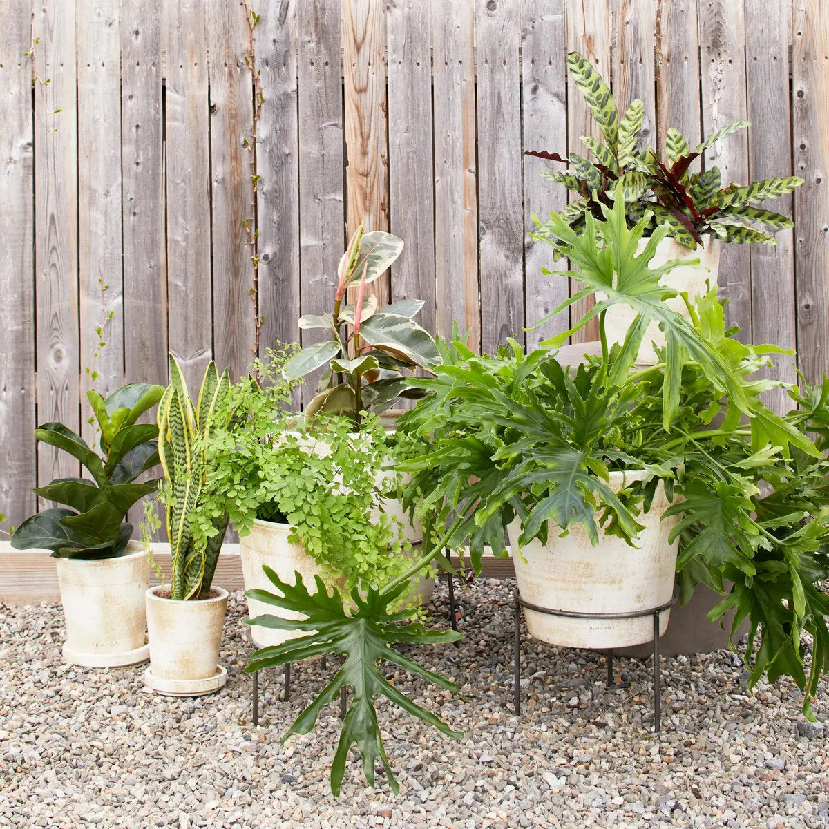 Basic Planter, White Patina Bloomist
