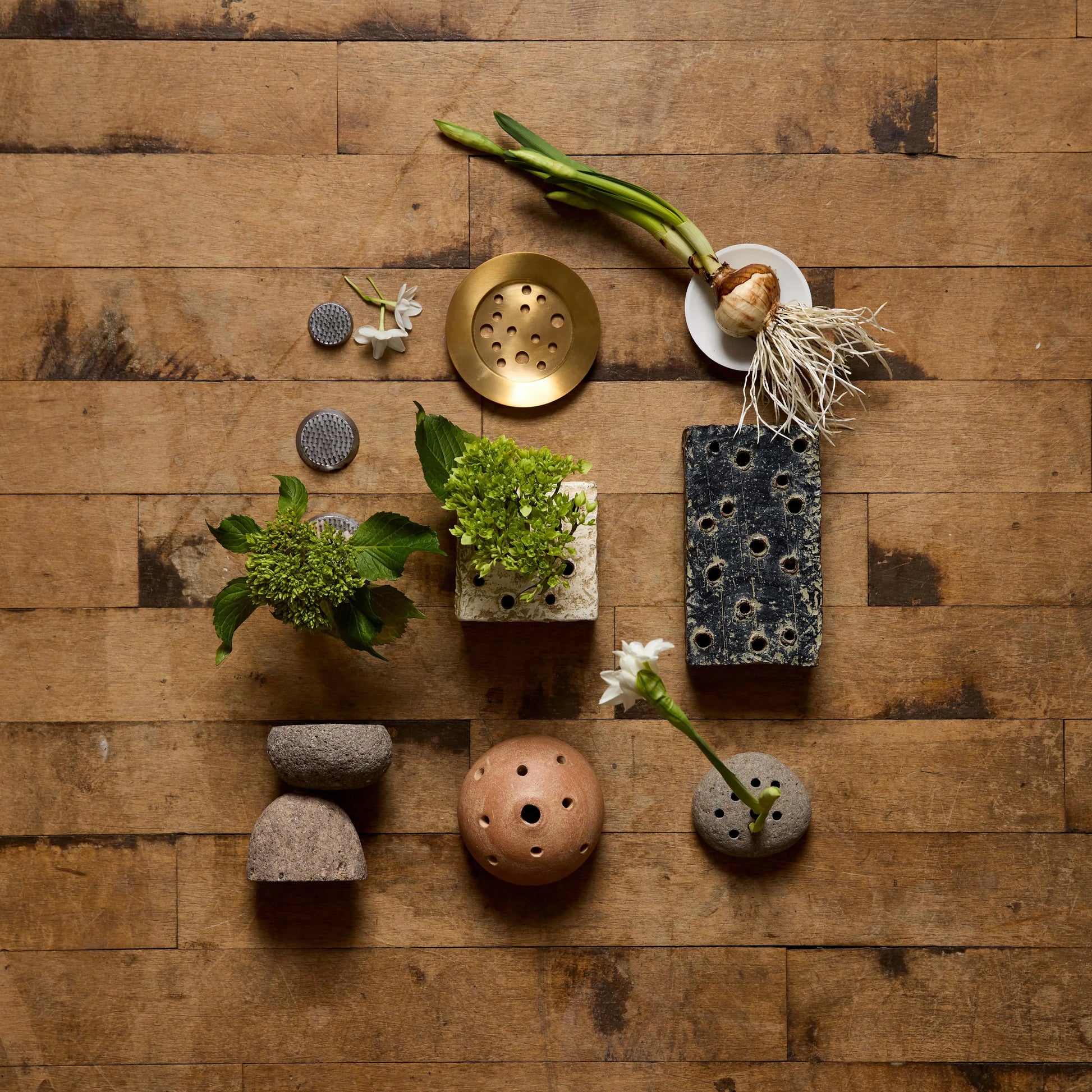 Brass Frogs Bloomist