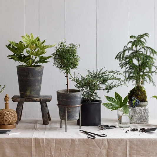 Basic Planter, Grey Patina Bloomist