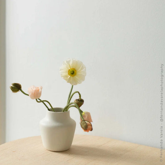 Ikebana Vase Bloomist