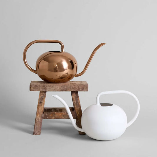 Beatrix Watering Can Bloomist
