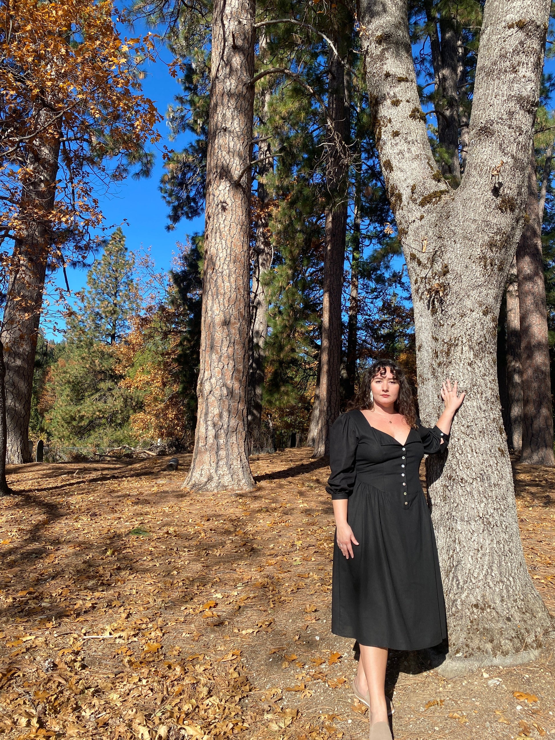 Prairie Dress in Black Linen Field Day