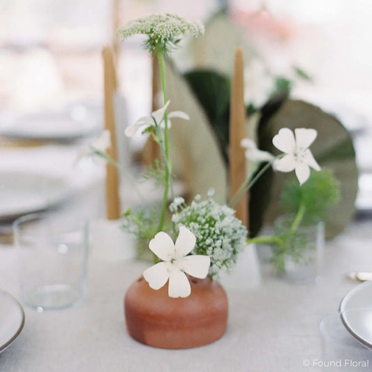 Terra Cotta Frog Vases Bloomist