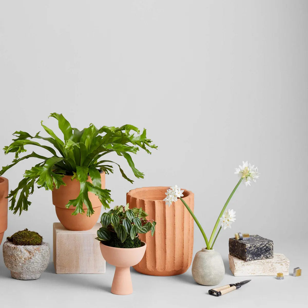 Terra Cotta Bud Vase, Greenwash Bloomist