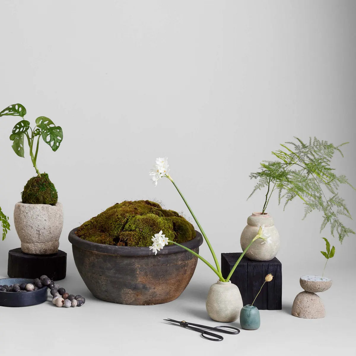 Terra Cotta Bud Vase, Greenwash Bloomist