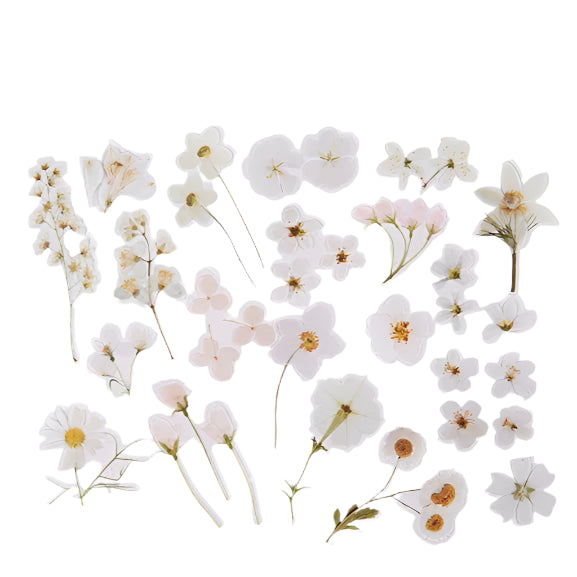 Fresh Flower Stickers Sticker Raccoon
