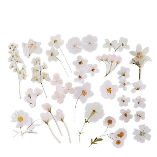 Fresh Flower Stickers Sticker Raccoon