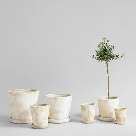 Basic Planter, White Patina Bloomist