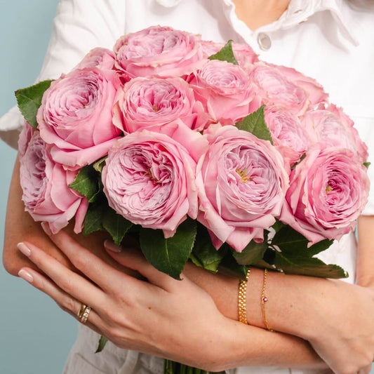 VINTAGE PEONY Rosaholics