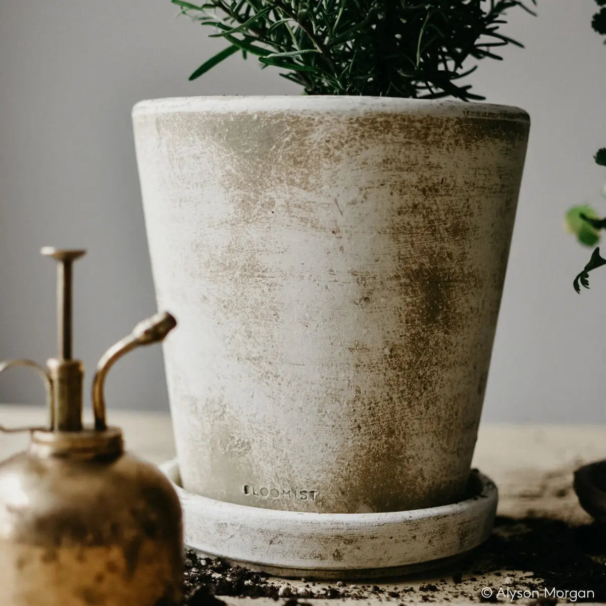Basic Planter, White Patina Bloomist